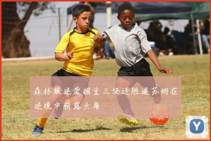 森林狼逆袭掘金三场连胜道苏姆在逆境中崭露头角